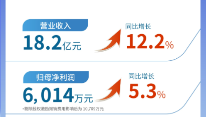 MK体育（002219）发布2024年半年报：营业收入及扣非归母净利润均实现双位数增长