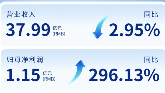 MK体育（002219）发布2024年年度报告：归母净利润增长296%