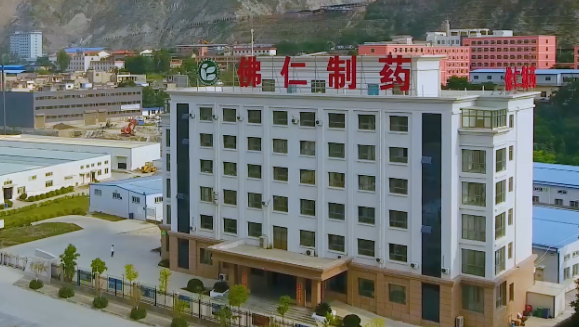 甘肃省副省长葛建团莅临MK体育（002219）旗下佛仁制药考察调研